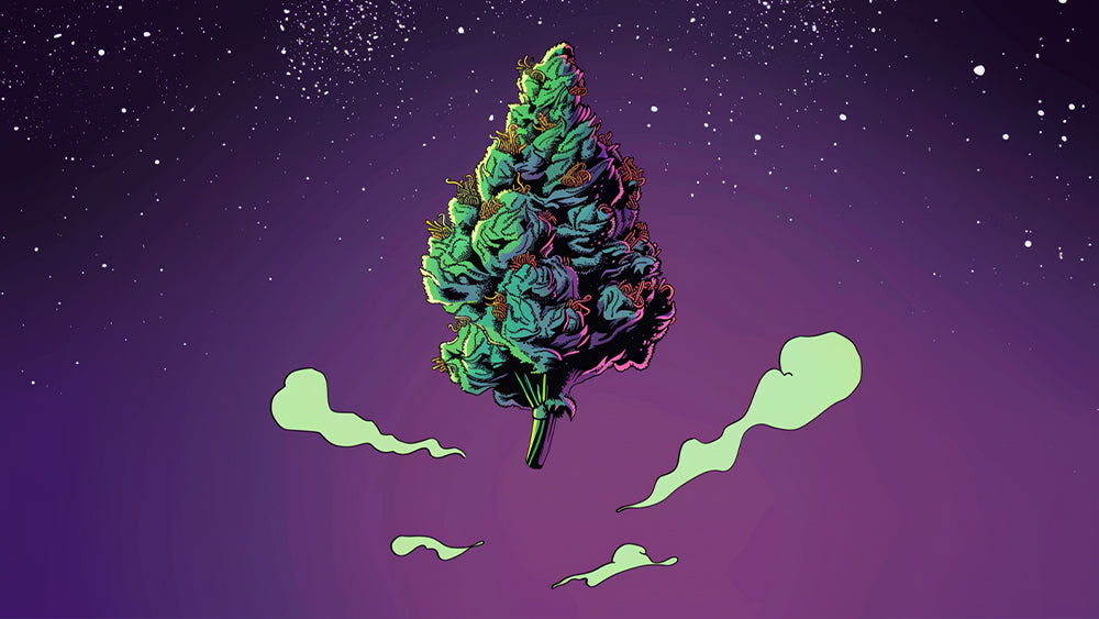 5 FAÇONS SURPRENANTES DONT LE CBD PEUT VOUS AIDER À MIEUX DORMIR