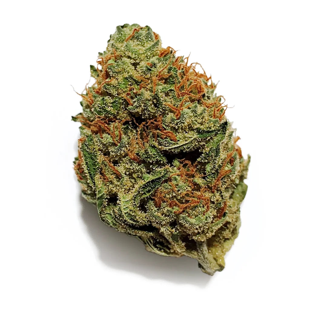 Expert Pack CBD - WEEDN Paris Streetwear Chic