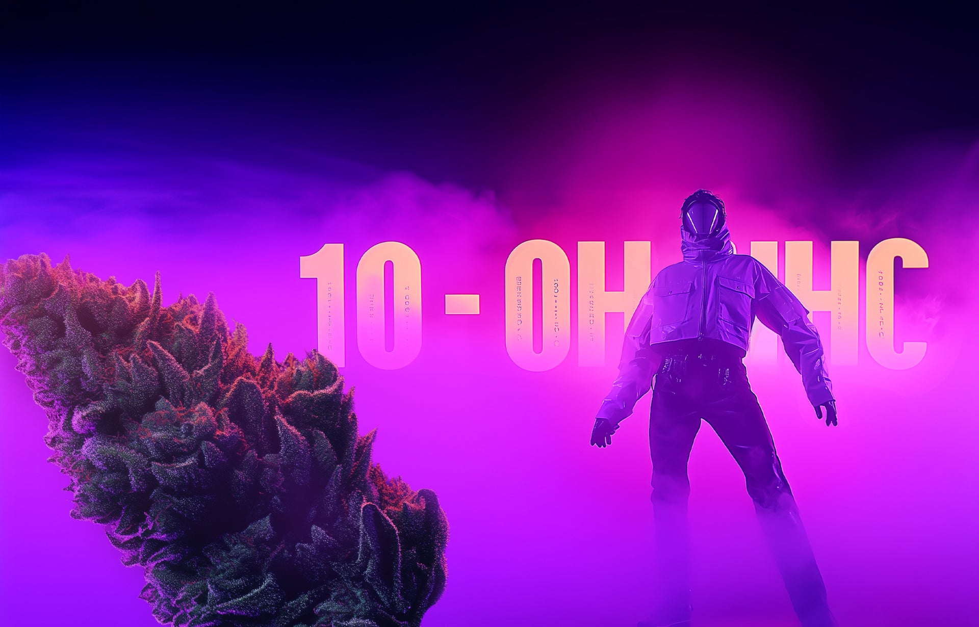 ELLE EST ENFIN
ARRIVEE !