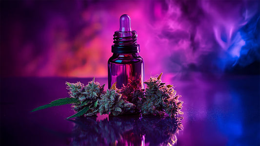 Comment bien choisir son huile de CBD ?